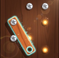 Woodnuts Bolts Puzzle