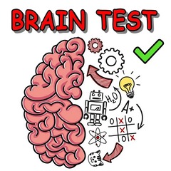 Brain Test