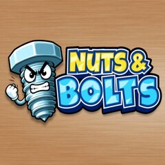 Nuts And Bolts Puzzle