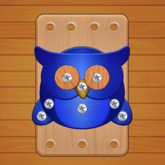 Woodnuts Bolts Puzzle