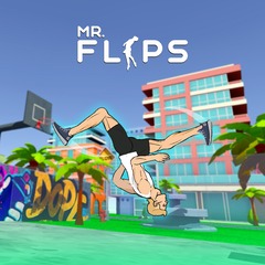 Mr Flip