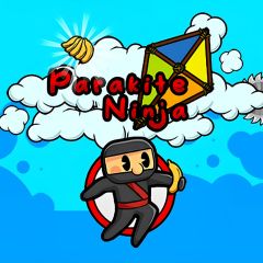 Parakite Ninja