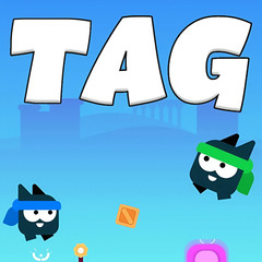 Tag 2 3 4 players